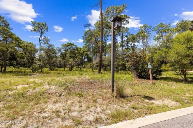 Due Diligence already completed and ready for a new owner to on Sharks Tooth Golf Club in Florida - for sale on GolfHomes.com, golf home, golf lot