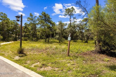 Due Diligence already completed and ready for a new owner to on Sharks Tooth Golf Club in Florida - for sale on GolfHomes.com, golf home, golf lot