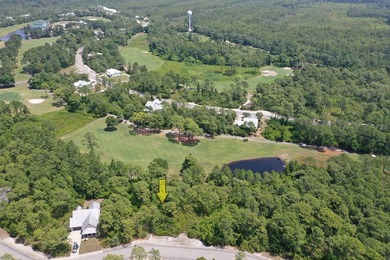 Welcome to the last bit of Florida paradise! 145 White Pelican on St. James Bay in Florida - for sale on GolfHomes.com, golf home, golf lot