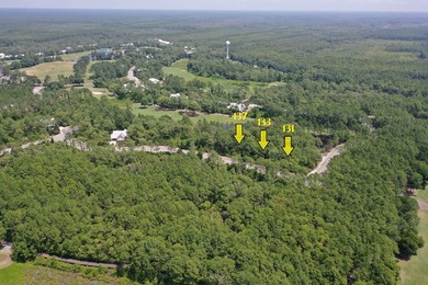 Rare opportunity alert! Presenting THREE contiguous lots (Lots on St. James Bay in Florida - for sale on GolfHomes.com, golf home, golf lot