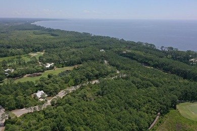 Presenting TWO contiguous lots (Lots 130 & 134) nestled within on St. James Bay in Florida - for sale on GolfHomes.com, golf home, golf lot