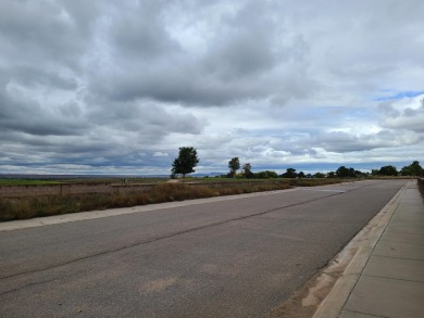 Unobstructed views of the colorful bosque & never ending mind on Tierra Del Sol Golf Course in New Mexico - for sale on GolfHomes.com, golf home, golf lot