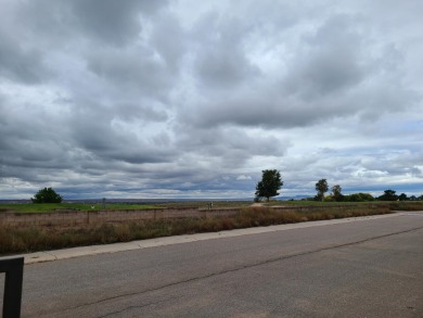 Unobstructed views of the colorful bosque & never ending mind on Tierra Del Sol Golf Course in New Mexico - for sale on GolfHomes.com, golf home, golf lot