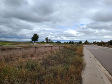 Unobstructed views of the colorful bosque & never ending mind on Tierra Del Sol Golf Course in New Mexico - for sale on GolfHomes.com, golf home, golf lot