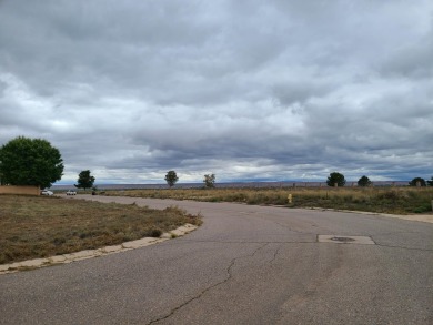 Unobstructed views of the colorful bosque & never ending mind on Tierra Del Sol Golf Course in New Mexico - for sale on GolfHomes.com, golf home, golf lot