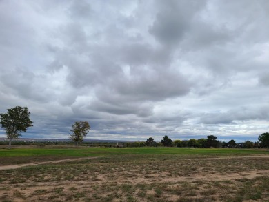 Unobstructed views of the colorful bosque & never ending mind on Tierra Del Sol Golf Course in New Mexico - for sale on GolfHomes.com, golf home, golf lot