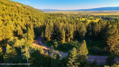 Beautiful treed covered building lot with a slight slope in Star on Aspen Hills Golf Course in Wyoming - for sale on GolfHomes.com, golf home, golf lot