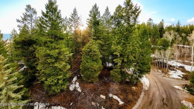 Beautiful treed covered building lot with a slight slope in Star on Aspen Hills Golf Course in Wyoming - for sale on GolfHomes.com, golf home, golf lot