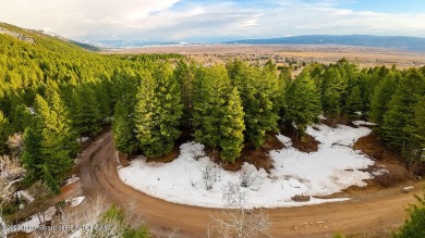 Beautiful treed covered building lot with a slight slope in Star on Aspen Hills Golf Course in Wyoming - for sale on GolfHomes.com, golf home, golf lot