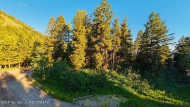 Beautiful treed covered building lot with a slight slope in Star on Aspen Hills Golf Course in Wyoming - for sale on GolfHomes.com, golf home, golf lot