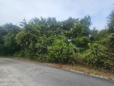 Great Homesite, Riverviews, Golf Course Views and Sunsets on Bald Head Island Golf Club in North Carolina - for sale on GolfHomes.com, golf home, golf lot