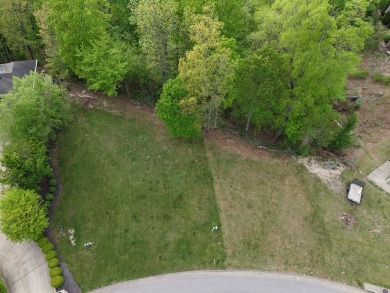 Stunning Half-Acre Lot with Breathtaking Views. Welcome to your on StoneCrest Golf Course in Kentucky - for sale on GolfHomes.com, golf home, golf lot