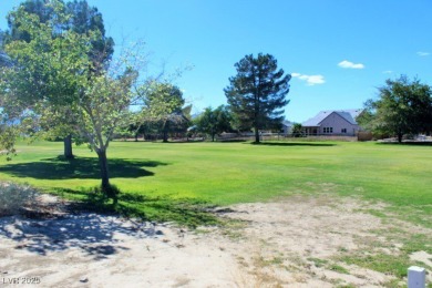SPECTACULAR GOLF FRONTAGE LOT ON BEAUTIFUL LAKEVIEW GOLF on Lakeview Executive Golf Course in Nevada - for sale on GolfHomes.com, golf home, golf lot
