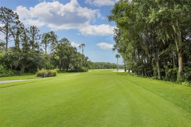 **$20K concession is being offered by the Sellers to the on Westchase Golf Club in Florida - for sale on GolfHomes.com, golf home, golf lot