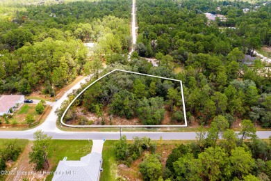 Beautiful 1.29+/- acre Corner lot in the Highly Desirable Royal on Glen Lakes Country Club in Florida - for sale on GolfHomes.com, golf home, golf lot