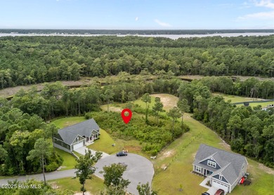 Discover the perfect blend of privacy and convenience with this on Silver Creek Golf Club in North Carolina - for sale on GolfHomes.com, golf home, golf lot