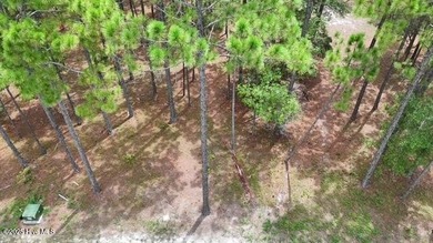 Discover the perfect setting for your dream home on this on Ocean Ridge Plantation in North Carolina - for sale on GolfHomes.com, golf home, golf lot