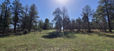 Marc B Hitchcox, NextHome Virtual, C: , hitchcoxrealestate,  : on The Divide Ranch and Club in Colorado - for sale on GolfHomes.com, golf home, golf lot