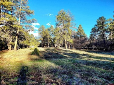 Marc B Hitchcox, NextHome Virtual, C: , hitchcoxrealestate,  : on The Divide Ranch and Club in Colorado - for sale on GolfHomes.com, golf home, golf lot
