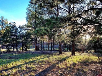 Marc B Hitchcox, NextHome Virtual, C: , hitchcoxrealestate,  : on The Divide Ranch and Club in Colorado - for sale on GolfHomes.com, golf home, golf lot