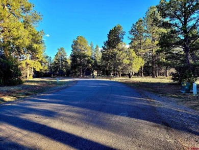 Marc B Hitchcox, NextHome Virtual, C: , hitchcoxrealestate,  : on The Divide Ranch and Club in Colorado - for sale on GolfHomes.com, golf home, golf lot
