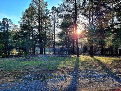 Marc B Hitchcox, NextHome Virtual, C: , hitchcoxrealestate,  : on The Divide Ranch and Club in Colorado - for sale on GolfHomes.com, golf home, golf lot