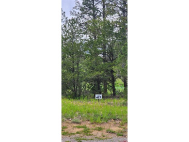 Marc B Hitchcox, NextHome Virtual, C: , hitchcoxrealestate,  : on The Divide Ranch and Club in Colorado - for sale on GolfHomes.com, golf home, golf lot