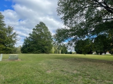 Come and see this nice interior lot in the desireable, lake on The Links At Stoney Point in South Carolina - for sale on GolfHomes.com, golf home, golf lot