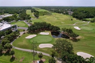 Nestled within the highly sought-after gated community of on East Lake Woodlands Country Club in Florida - for sale on GolfHomes.com, golf home, golf lot
