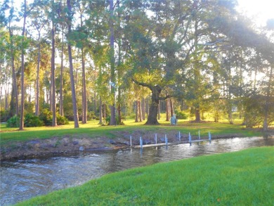 Now is your chance to own this Beautiful, affordable on Polo Park East in Florida - for sale on GolfHomes.com, golf home, golf lot