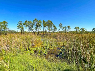 Beach House for the Whole Family! 2800 square feet of living on Kiva Dunes Golf Club in Alabama - for sale on GolfHomes.com, golf home, golf lot