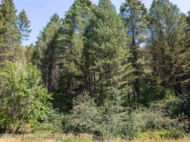 Surrounded by towering evergreens and endless mountain views on Star Valley RV Golf Course in Wyoming - for sale on GolfHomes.com, golf home, golf lot