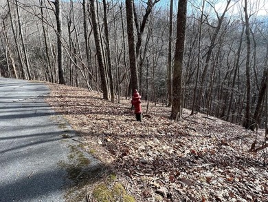 Get your piece of the mountains! This 1.21 acre lot is located on Bent Tree Golf Course in Georgia - for sale on GolfHomes.com, golf home, golf lot