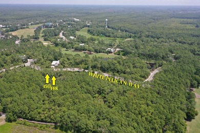 Presenting TWO contiguous lots (Lots 148 &150) nestled within St on St. James Bay in Florida - for sale on GolfHomes.com, golf home, golf lot