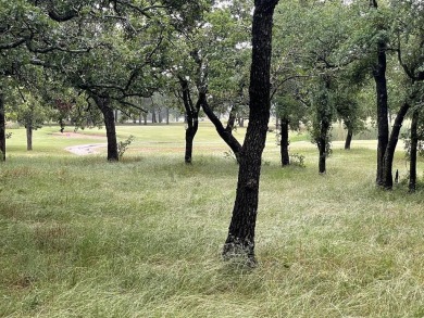 This is lot number 11 and is on the #3 Tee box of the Golf on Lone Cedar Golf Course in Texas - for sale on GolfHomes.com, golf home, golf lot