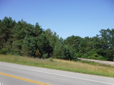 Nicely wooded lot on US-23, just north of the railroad tracks on Greenbush Golf Course in Michigan - for sale on GolfHomes.com, golf home, golf lot