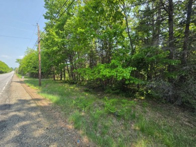 Excellent opportunity to choose your own lot size - current on Diadema Golf Course  in Maine - for sale on GolfHomes.com, golf home, golf lot