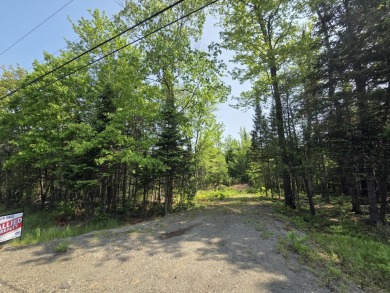Excellent opportunity to choose your own lot size - current on Diadema Golf Course  in Maine - for sale on GolfHomes.com, golf home, golf lot