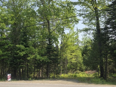 Excellent opportunity to choose your own lot size - current on Diadema Golf Course  in Maine - for sale on GolfHomes.com, golf home, golf lot
