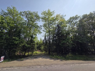 Excellent opportunity to choose your own lot size - current on Diadema Golf Course  in Maine - for sale on GolfHomes.com, golf home, golf lot