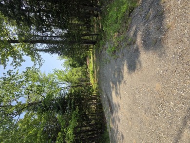 Excellent opportunity to choose your own lot size - current on Diadema Golf Course  in Maine - for sale on GolfHomes.com, golf home, golf lot