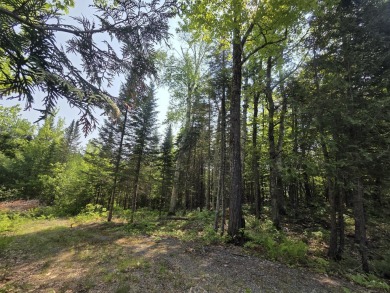 Excellent opportunity to choose your own lot size - current on Diadema Golf Course  in Maine - for sale on GolfHomes.com, golf home, golf lot