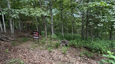 Come check out this buildable lot in the highly desired on Blacksburg Country Club in Virginia - for sale on GolfHomes.com, golf home, golf lot