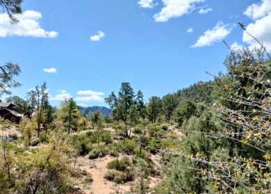 Here's one of Rim Club's Best Build Lots! Great views all around on The Rim Golf Club in Arizona - for sale on GolfHomes.com, golf home, golf lot