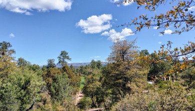 Here's one of Rim Club's Best Build Lots! Great views all around on The Rim Golf Club in Arizona - for sale on GolfHomes.com, golf home, golf lot