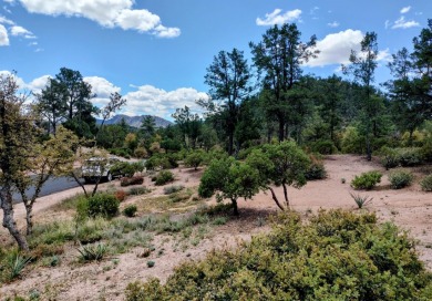 Here's one of Rim Club's Best Build Lots! Great views all around on The Rim Golf Club in Arizona - for sale on GolfHomes.com, golf home, golf lot