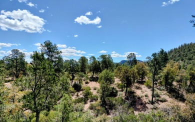 Here's one of Rim Club's Best Build Lots! Great views all around on The Rim Golf Club in Arizona - for sale on GolfHomes.com, golf home, golf lot