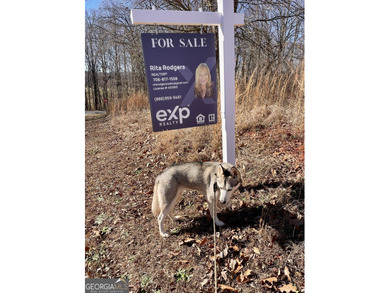 Stunning Corner Lot on Golf Course: Build your dream home on on Double Oaks Golf Club in Georgia - for sale on GolfHomes.com, golf home, golf lot