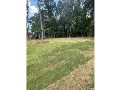 LOT 10E, The Meadowbrook   This spacious two-story plan features on Lane Creek Golf Club in Georgia - for sale on GolfHomes.com, golf home, golf lot