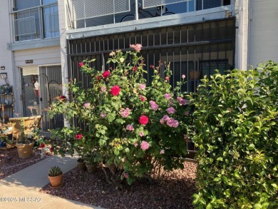 This charming co-op studio, located on the ground floor in on Randolph Park Golf Courses in Arizona - for sale on GolfHomes.com, golf home, golf lot